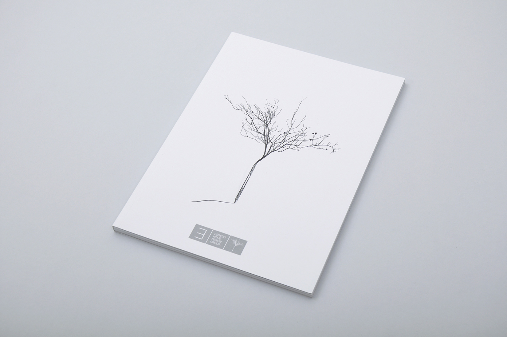 Espacio Home Design Group. Brochure and website.
