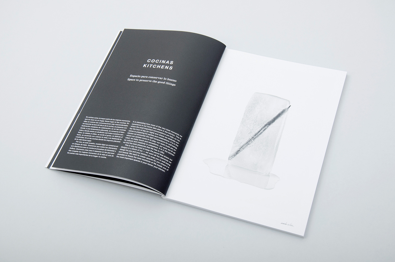 Espacio Home Design Group. Brochure and website.