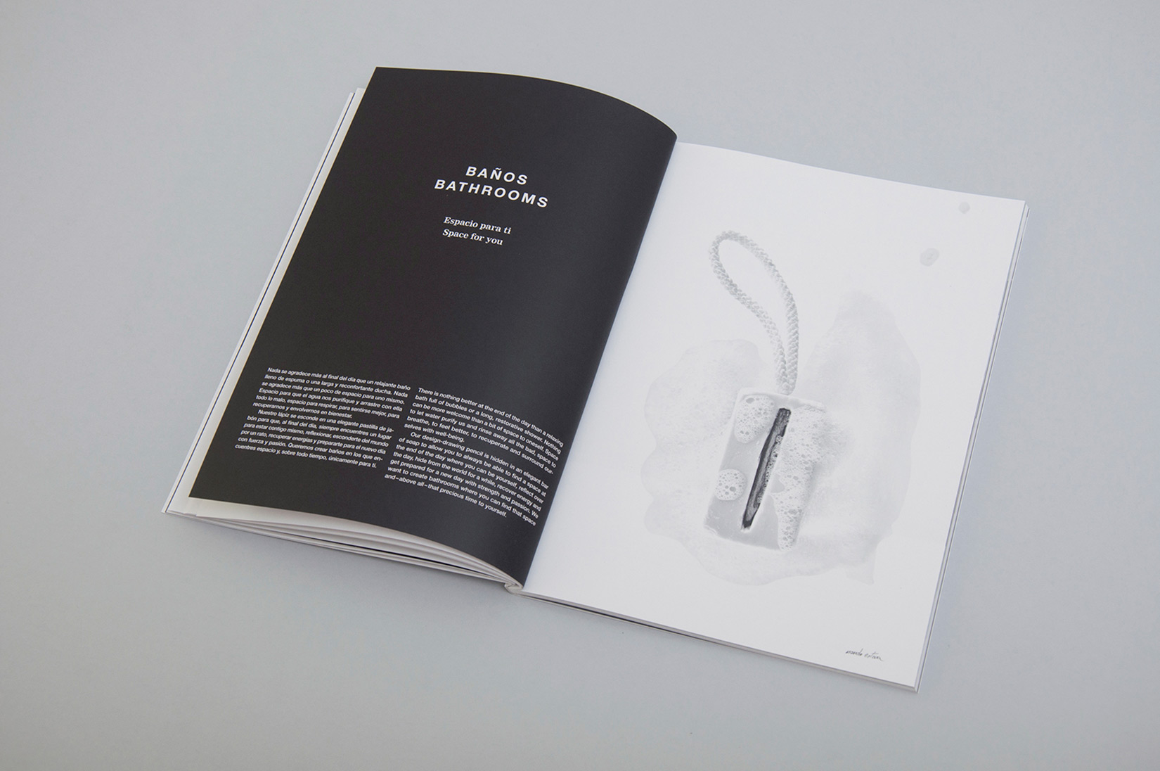 Espacio Home Design Group. Brochure and website.