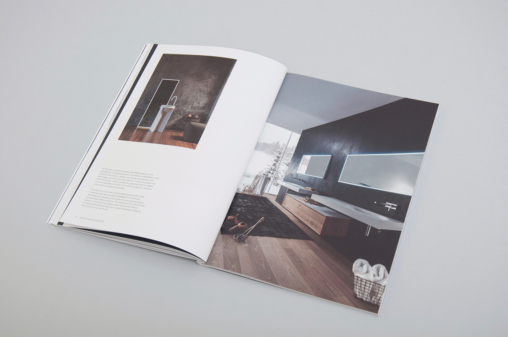 Espacio Home Design Group. Brochure and website.