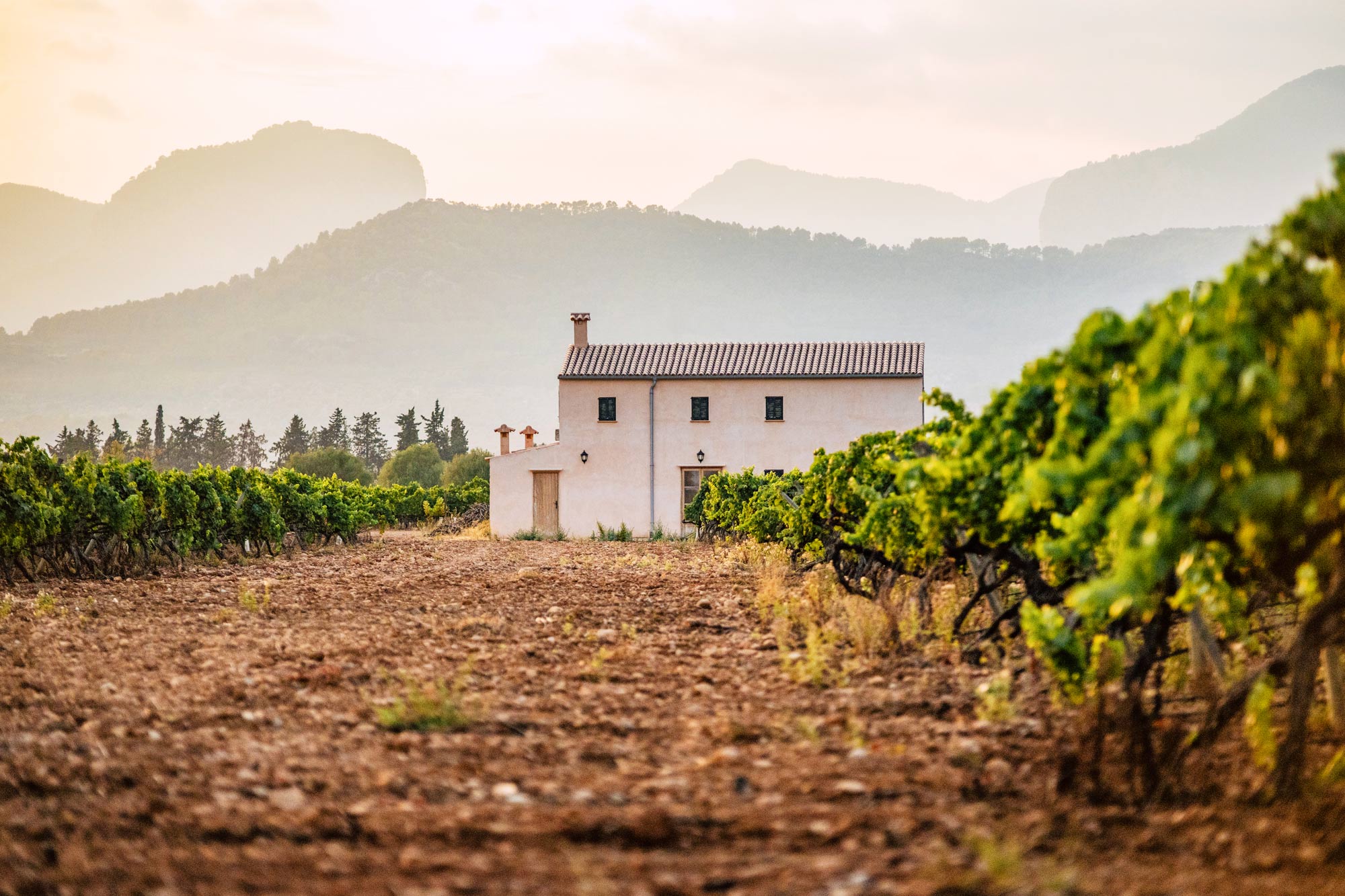 Bodega Sa Cabana