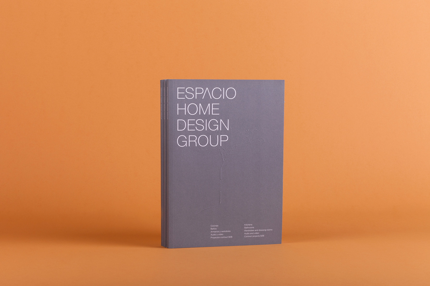New Brochure for Espacio Home Design Group